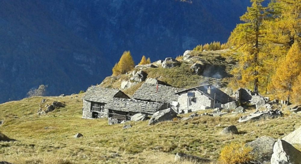 Valtellina in Autunno